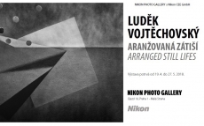 Luděk Vojtěchovský - Aranžovaná zátiší