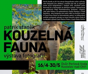 Patrik Staněk, Kouzelná fauna
