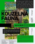 Patrik Staněk, Kouzelná fauna