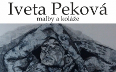 výstava
