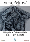výstava