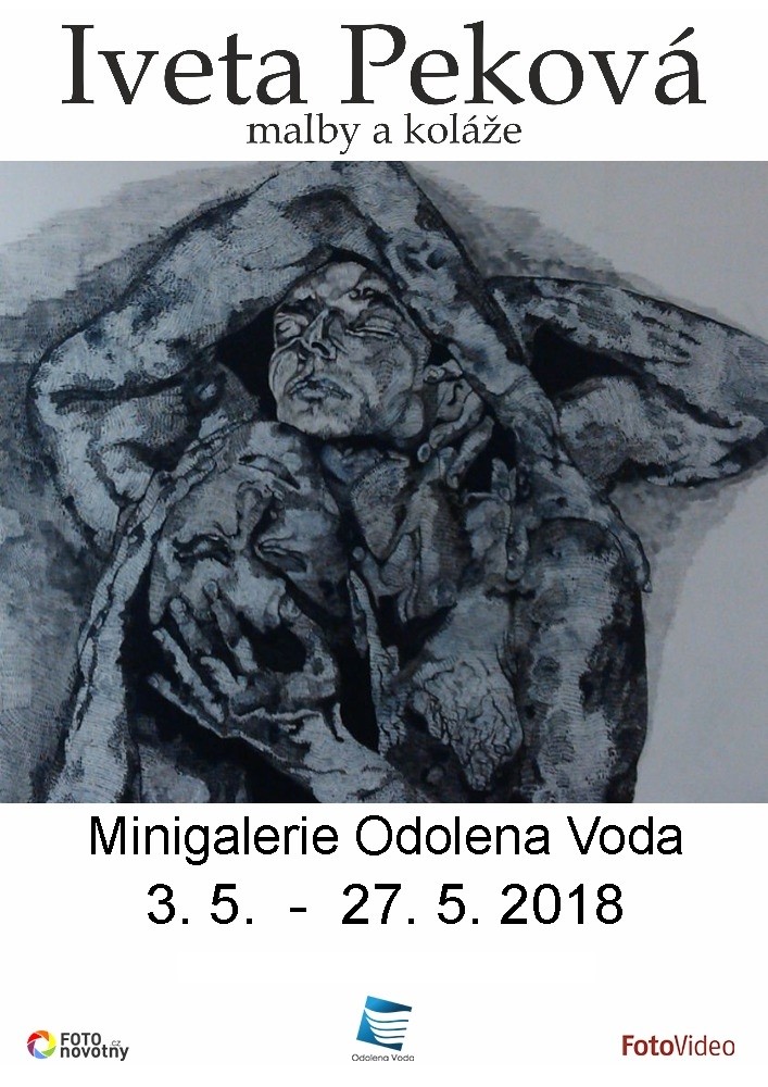výstava