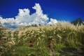 marumi-photo-contest,-foto-by-amitava-chandra.jpg