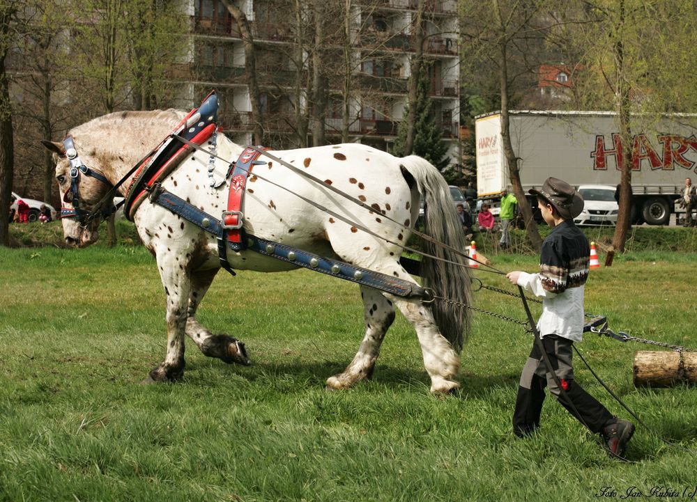 kc-jan-kubita-02.jpg