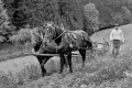 kc-jiri-vecernik-bohumilec-3957-(1)-(1).jpg