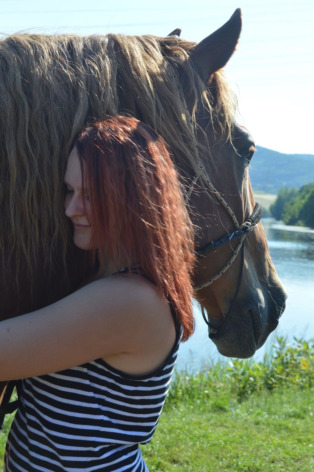 kc-kun-a-clovek---petra-viskova.jpg