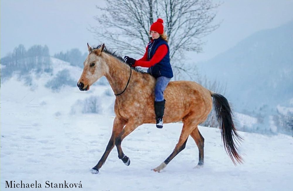 kc-michaela-stankova-.jpg
