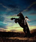 kc-miqocash-horse-.jpg