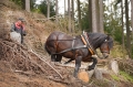 kc-rita-tuckova---kun-a-clovek---bandituv-krok.jpg