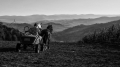 kc-zoran-toldi-k5--3013-ff.jpg