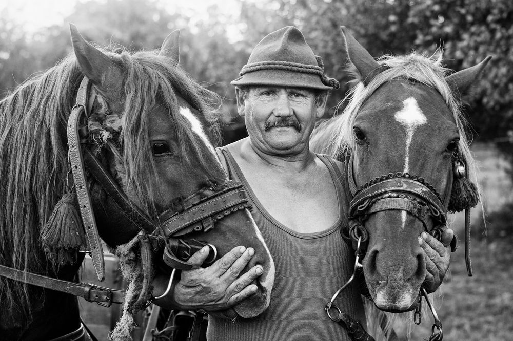 kc-zoran-toldi-traja.jpg