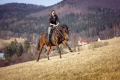 kp-anna-zimova-.jpg