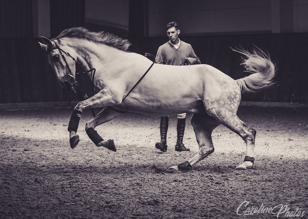 kp-caroline-kotrlova.jpg