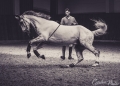 kp-caroline-kotrlova.jpg