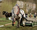 kp-jan-kubita-03.jpg