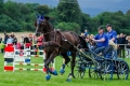 kp-jan-lettrich--kôn-v-pohybe-3.jpg