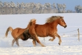 kp-katerina-filipi-03.jpg
