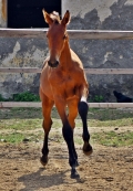kp-komendova-petra-vstric-budoucnosti.jpg