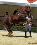 kp-marie-nezbedova-64.jpg