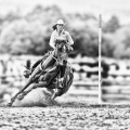 kp-rodeo---dusan-ignac.jpg