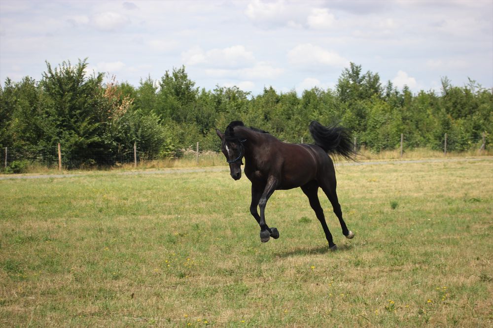 kp-sabina-kotopulosova-(1).jpg