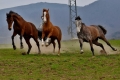 kp-viktorie-vanickova-fx7-0024.jpgk.jpg