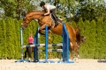 kp-zdenek-vondracek,-kun-v-pohybu-dsc-4734.jpg