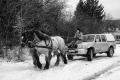 kp-zoran-toldi-dscf1995-upr-ff.jpg
