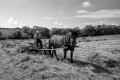 kp-zoran-toldi-k5--1960.jpg