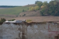 pk-1-dominika-lednicka-.jpg
