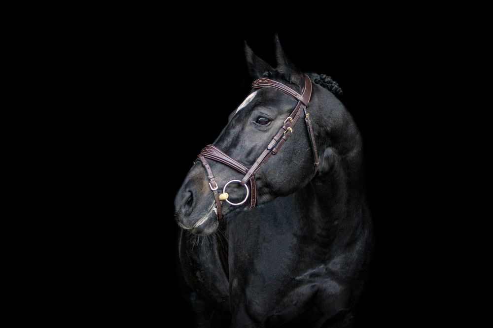 pk-adela-podzemska---portret-kone-(2).jpg