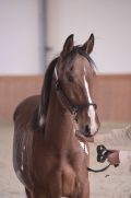 pk-lenka-kratochvilova-894-0430.jpg