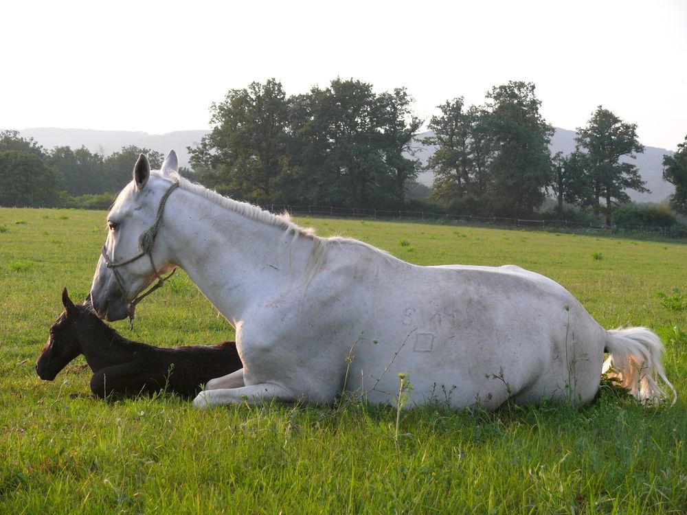 pk-materska-laska-3.-foto-jozef-sabo.jpg