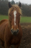 pk-portret-kone---petra-viskova.jpg