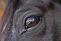 pk-sarka-vodickova-img-6703.jpg