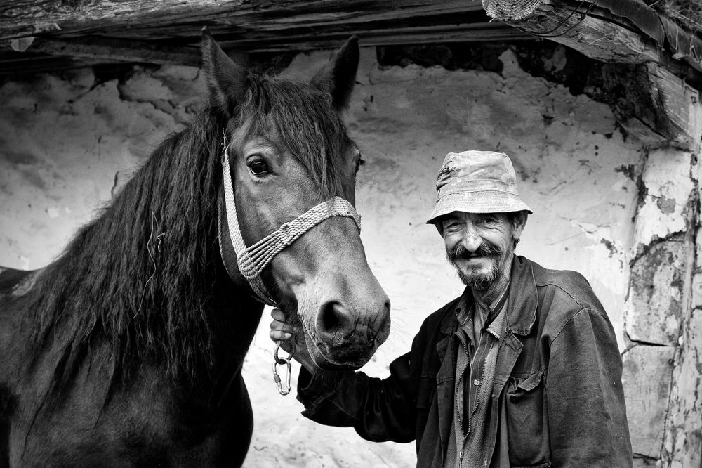 pk-zoran-toldi-imgp6582.jpg