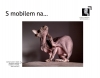 Karel Pobříslo, Mobilní focení