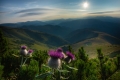 denisa-bouskova,-pure-nature.jpg