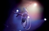 nofit-state-circus,-bianco-(gb).jpg