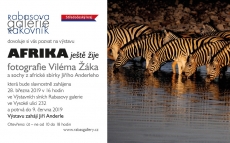 vilem-zak-vystava-1000x600px.jpg