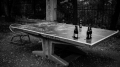 3.-misto,-simon-jan-kriz,-nekdo-ping-pong.jpg