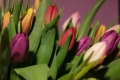 dscf1236.jpg