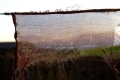 dscf1339.jpg