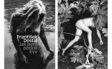 dostal-webfv-1000x600px.jpg