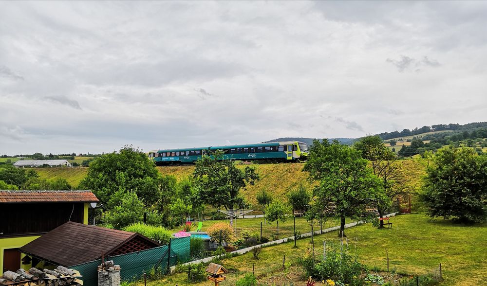petr-flores-20190712-145531.jpg