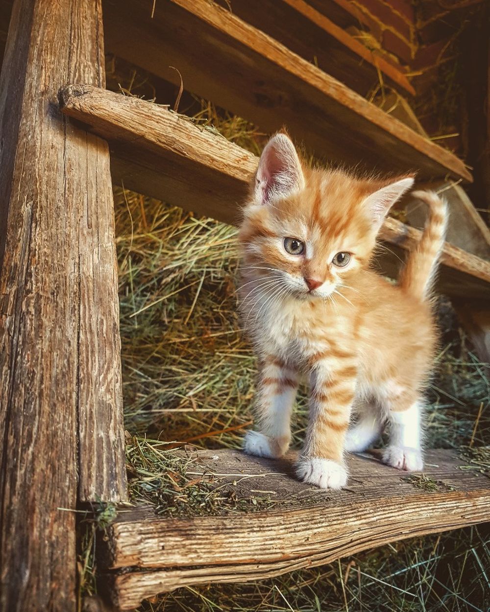 gabriela.porsova.nekde-neco-konci..-nekde-zacina..jpg