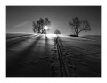 jaroslav-moravec,-ve-stope.jpg