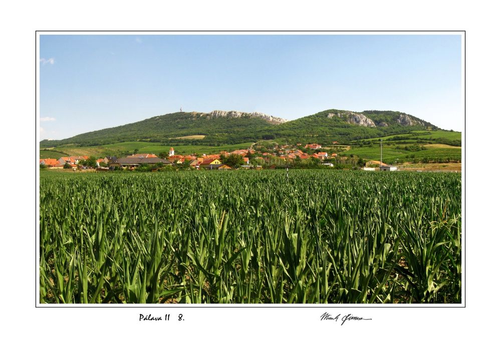 palava-ii-8..jpg