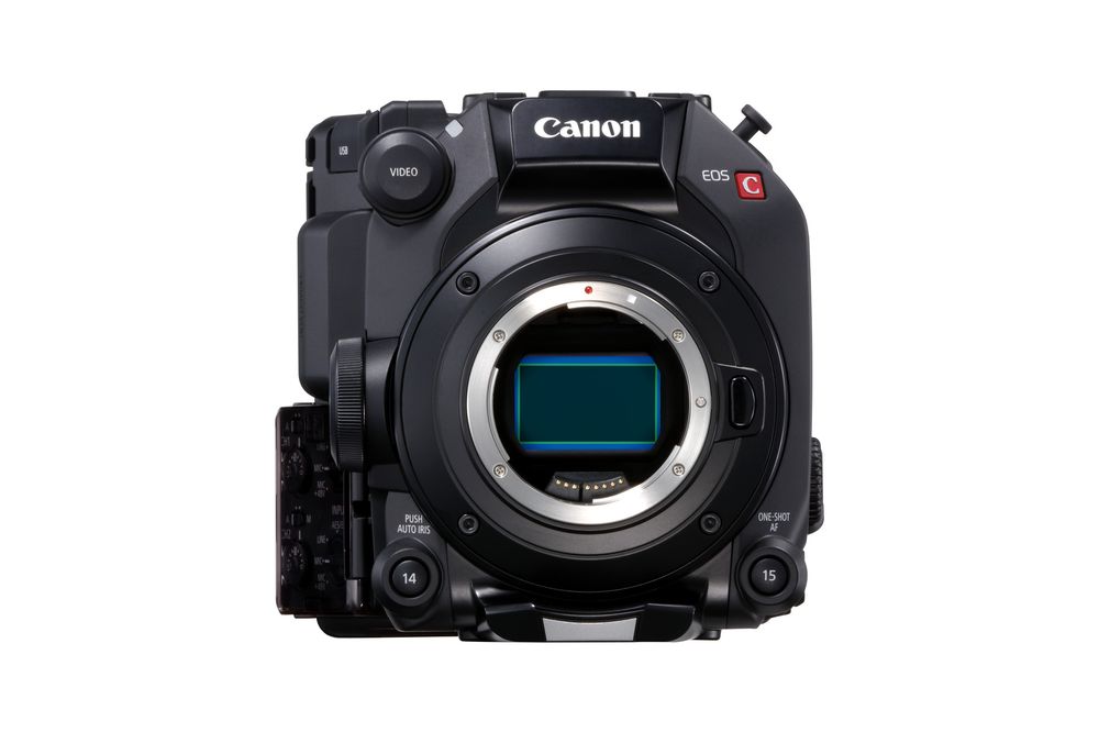 eos-c500-mark-iic-48675939028-o.jpg