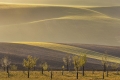 jiri-hakauf,-moravske-toskansko-i.jpg
